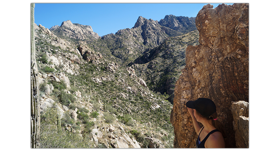 beautiful desert canyon views