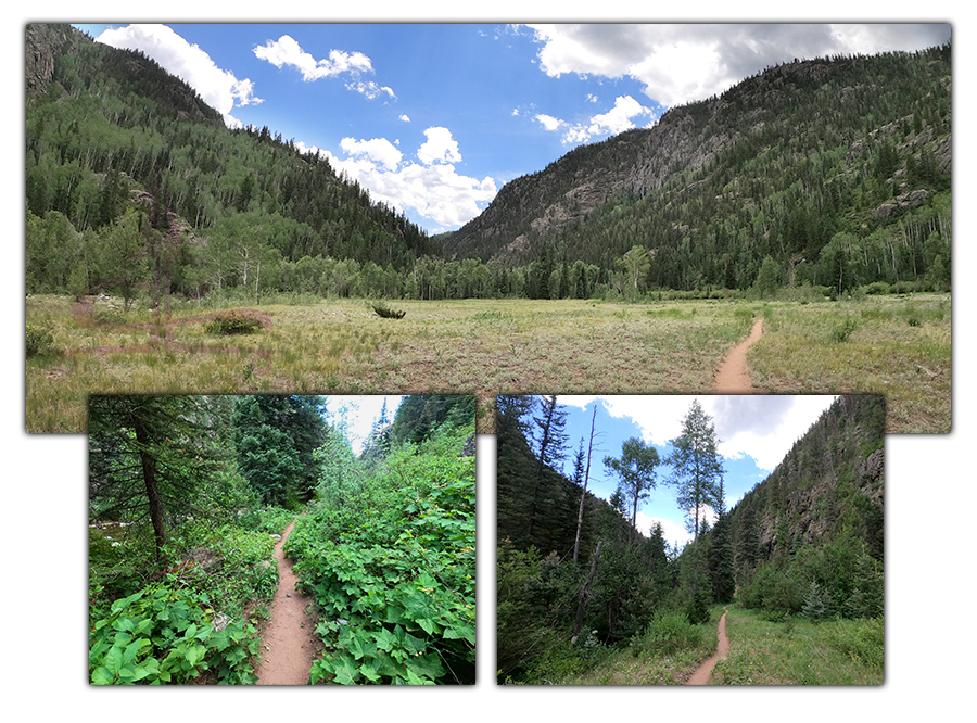 hiking purgatory trail via a beautiful dirt single track through the green vegetation