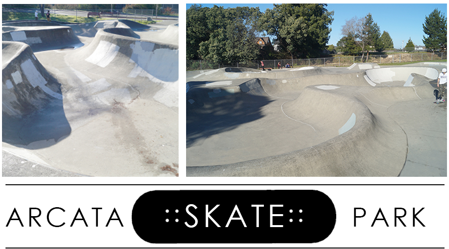 The snake bowl at Arcata Skate Park