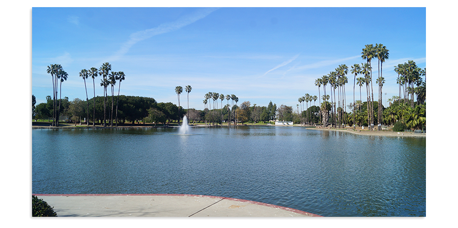 the lake at Alondra Park