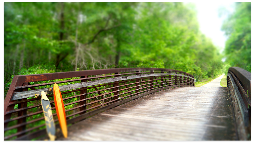 longboards on prarie creek preserve path