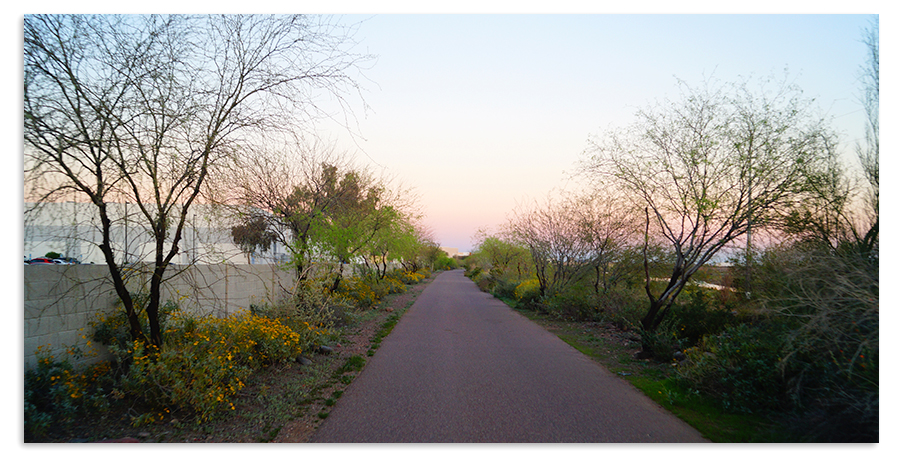 mellow smooth hill for longboarding in phoenix