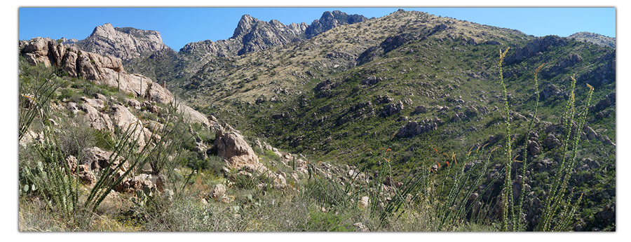 rocky desert mountain vista near tucson
