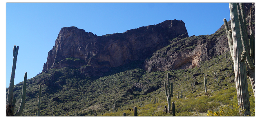 view from the start of the hike to picacho peak