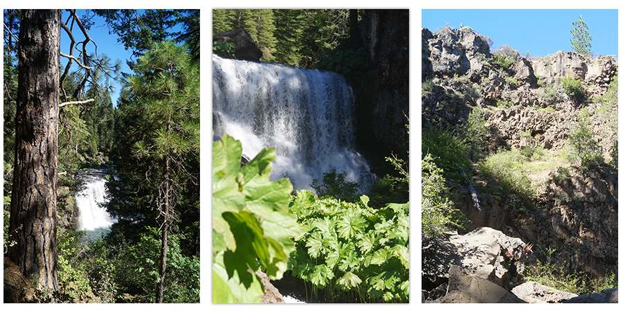 hiking to mccloud falls