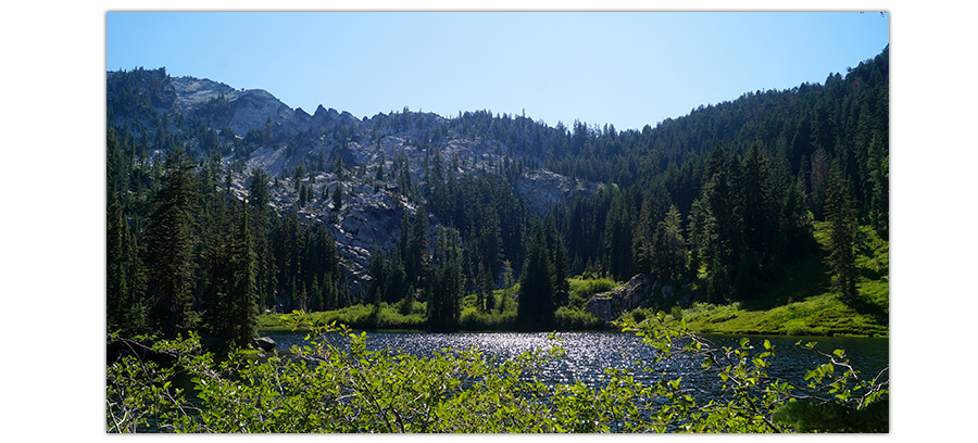conifers and granite backdrop at albert lake