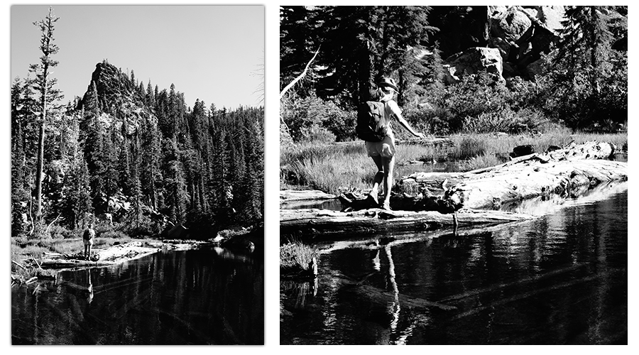 crossing logs at albert lake