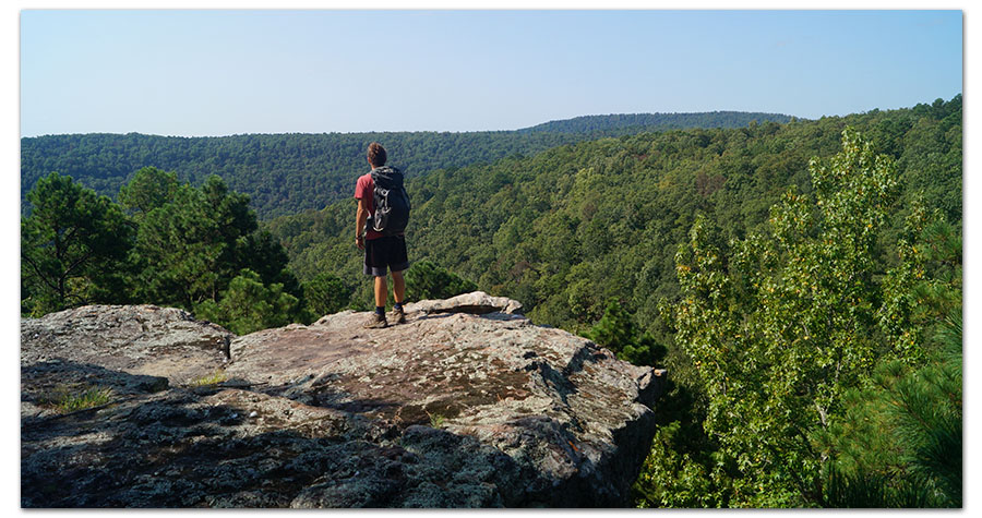 overlooking the forest from atop pedestal rocks