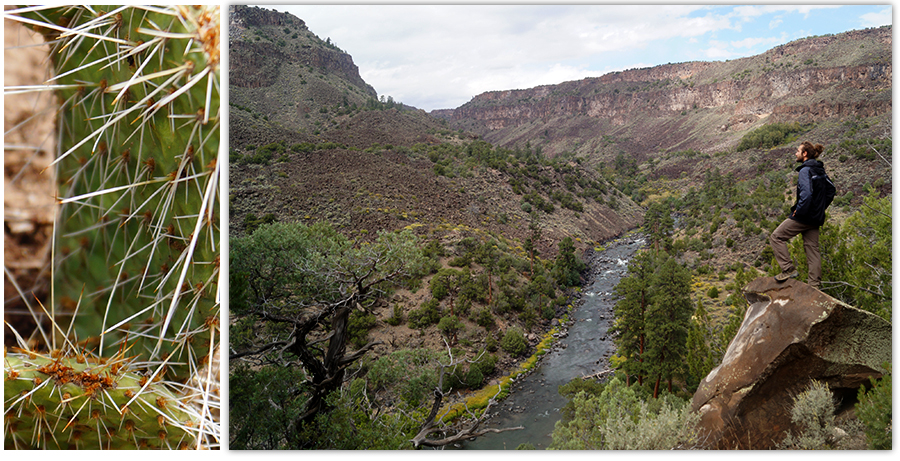 overlooking the rio grande