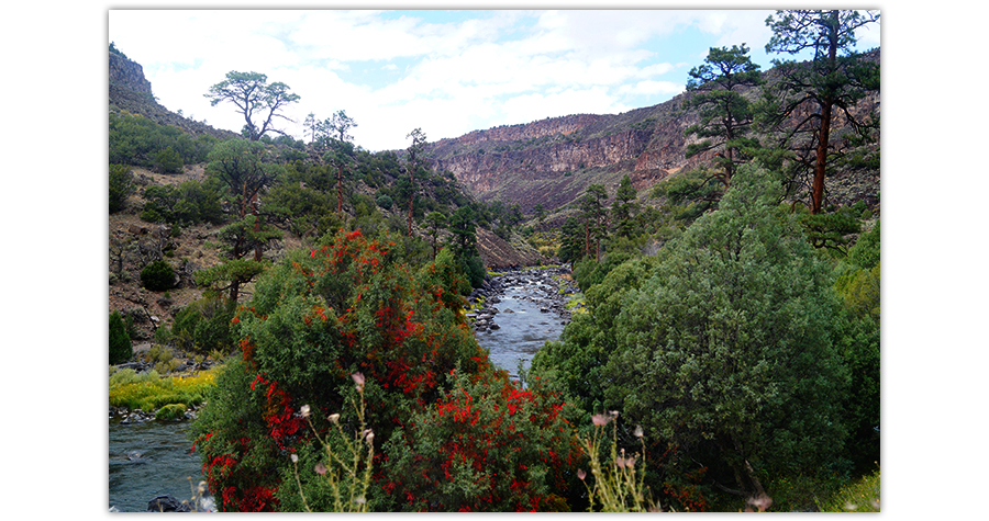 rio grande from big arsenic trail in rio grande del norte national monument 