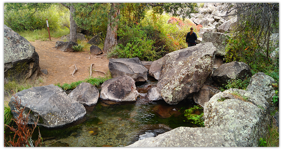 cold spring in rio grande del norte national monument