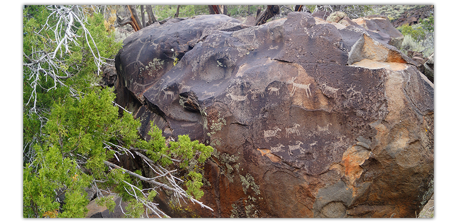 petroglyphs in rio grande del norte national monument