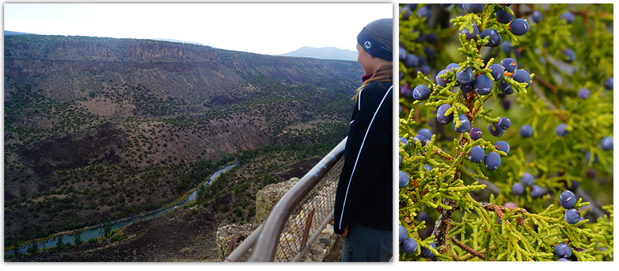 overlooking rio grande del norte national monument