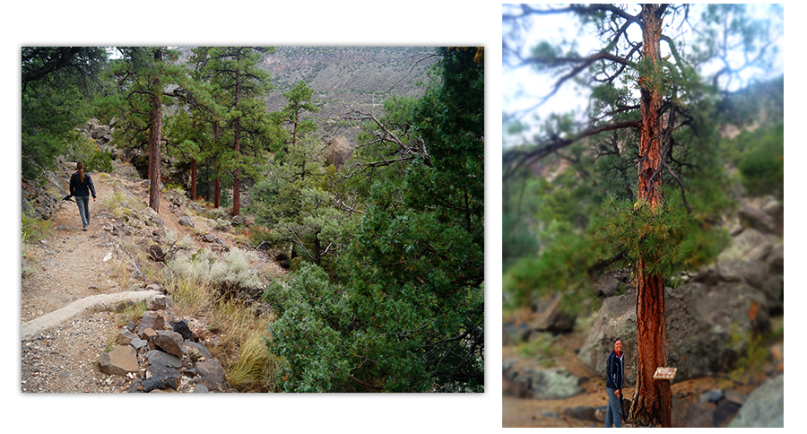 big arsenic trail and interpretive signs