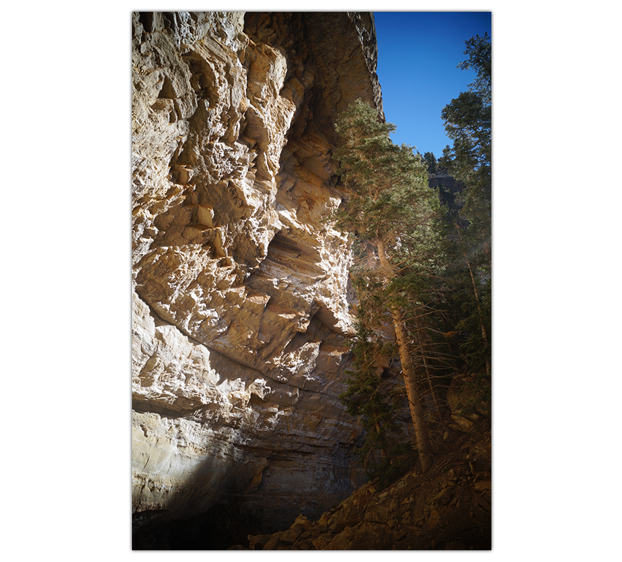 towering walls of ashdown gorge