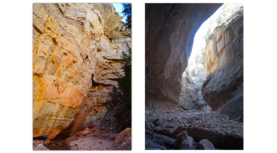 towering canyon walls