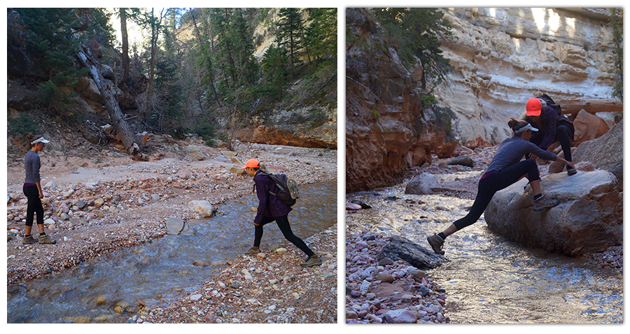 water crossing in ashdown gorge