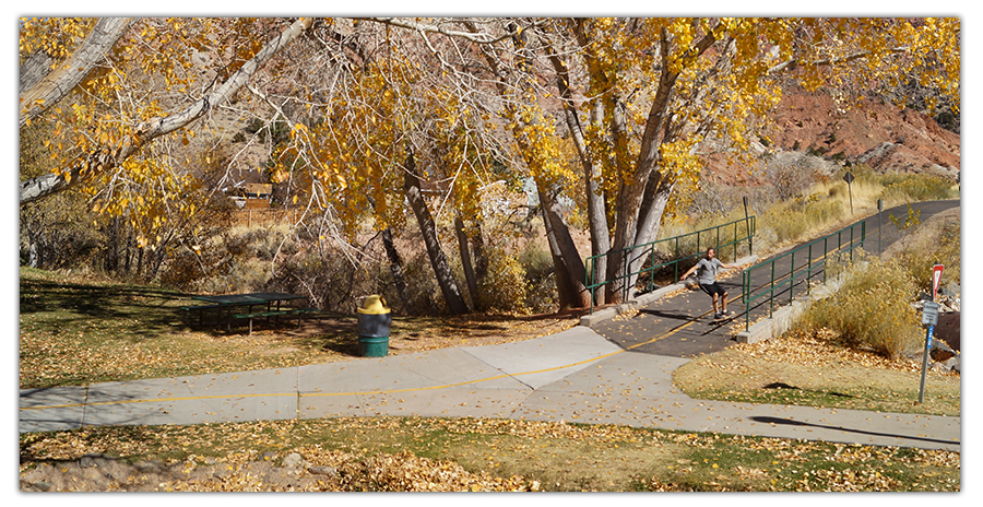 longboarder taking a turn with fall colors