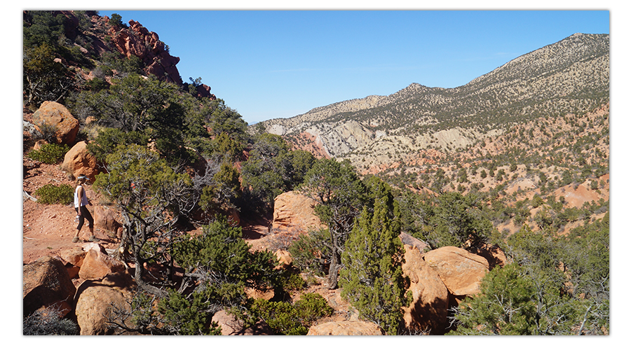 beautiful overlook from our red hollow trail hike