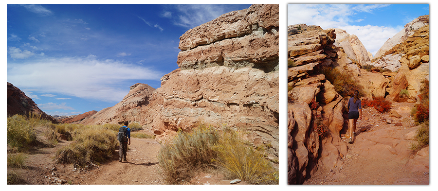 hiking the wash into ding and dang canyons