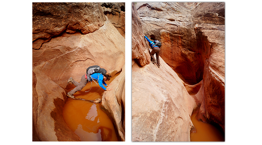 maneuvering over obstacles in ding and dang canyons
