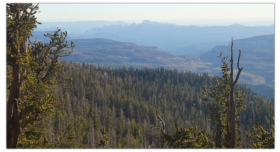 looking out towards zion