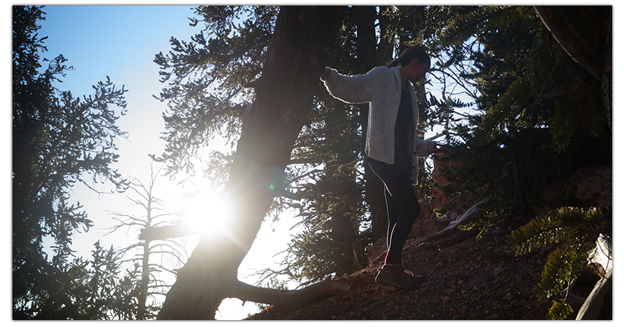 being among the bristlecone pines