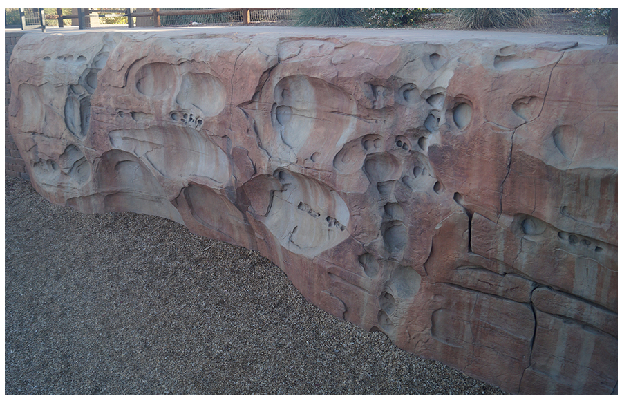 rock climbing wall at the park