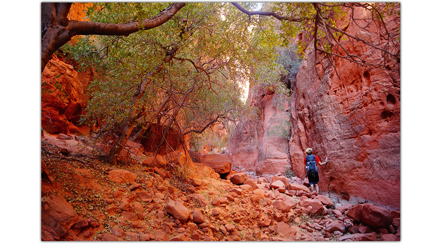 hiking through hellhole canyon