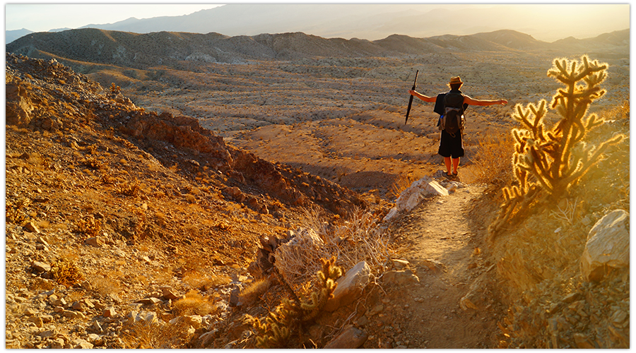 hiker in the desert sunset