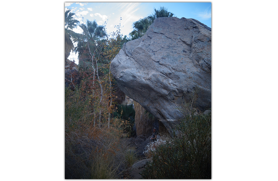 Big rock on Maidenhair Falls hike