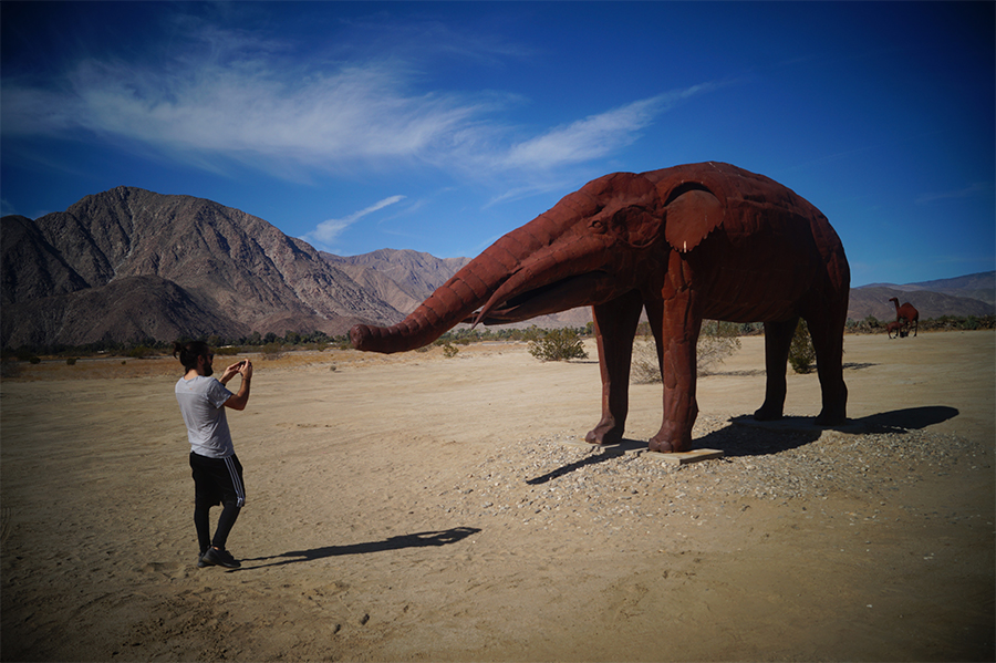 Taking photo of one of the unique  sculptures in Galleta Meadows