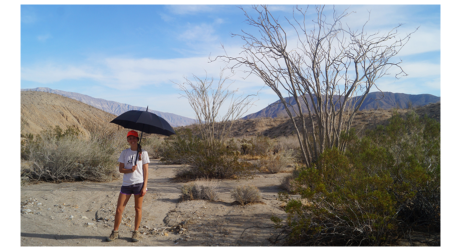 Hiking in Anza Borrego with an umbrella