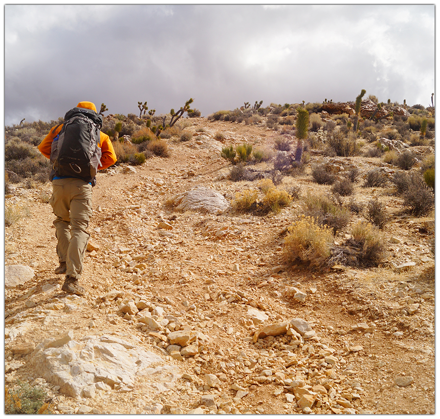 The climb to the summit of Gass Peak near Las Vegas