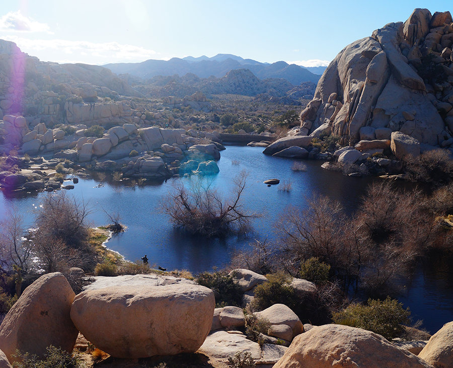 view overlooking barker dam in joshua tree