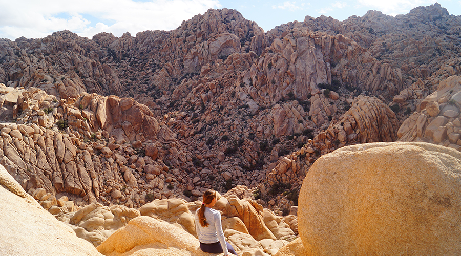 hiking in indian cove treats to an amazing view of towering boulder mountains