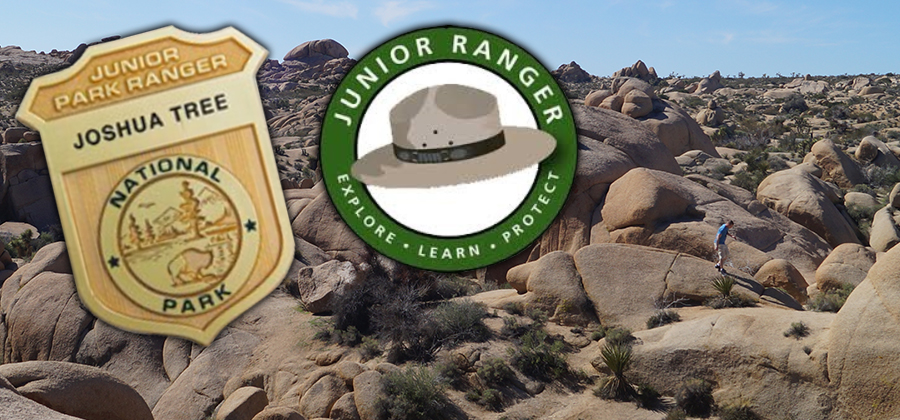 joshua tree ranger program images