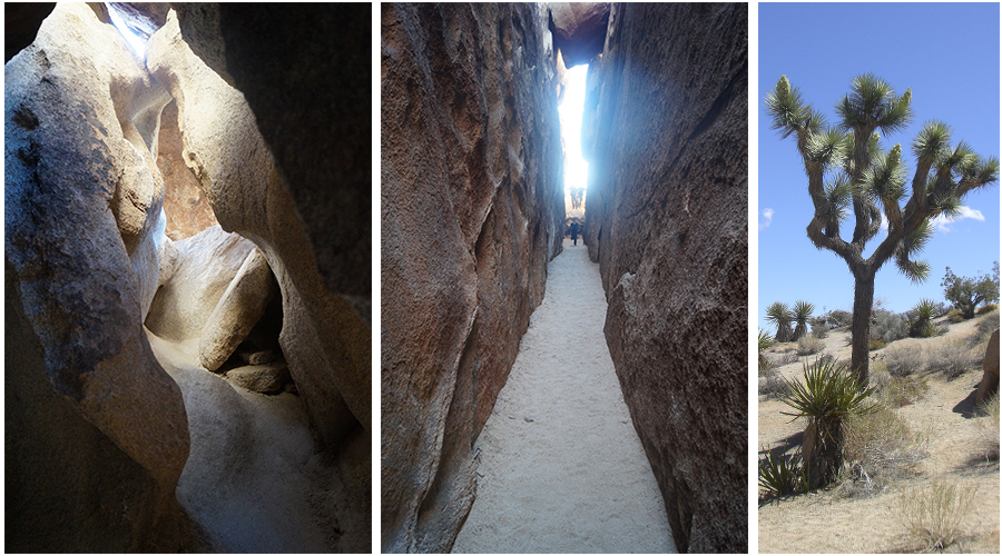 awesome narrow canyon scenes while hiking hall of horrors area