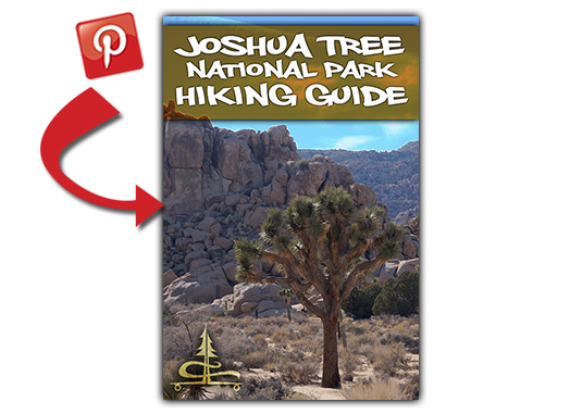 pinterest image for joshua tree national park guide