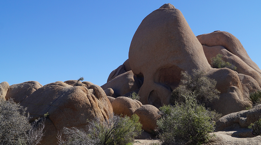 skull rock rock formation in joshua tree