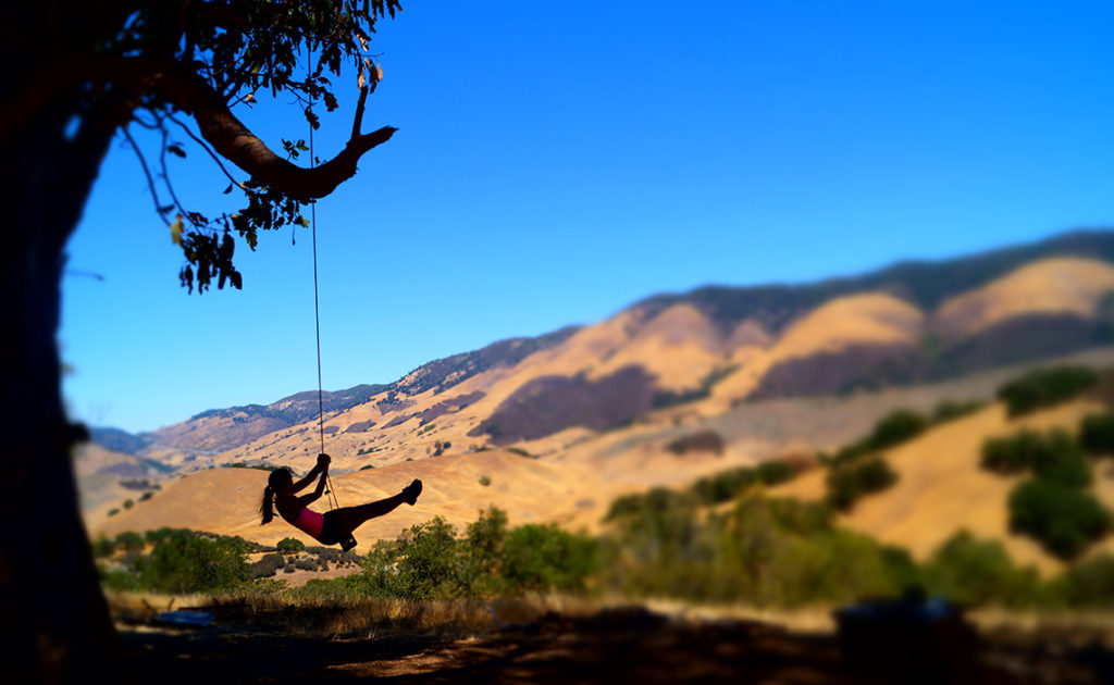 Katie Tree Swing