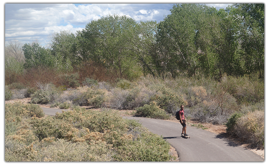 wetlands loop trail passing by the wash