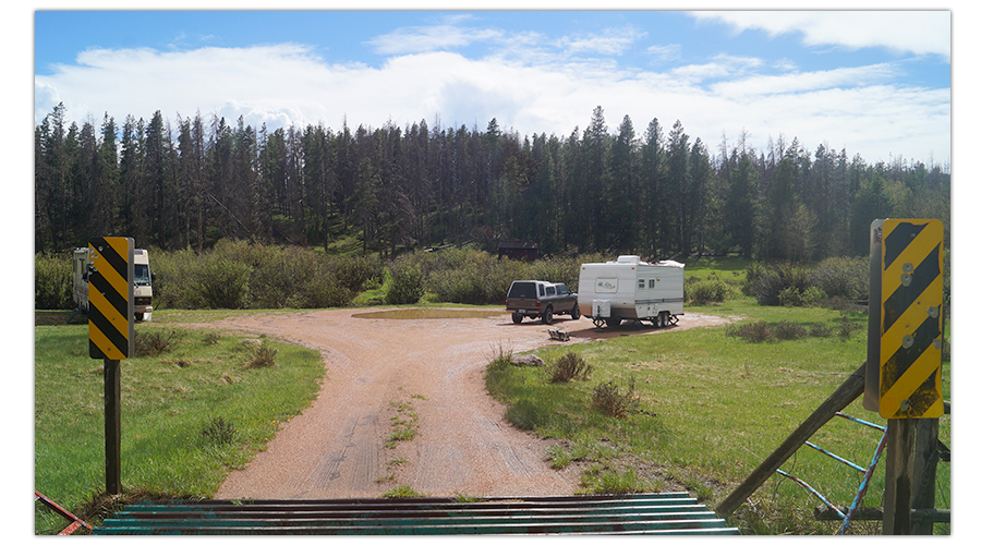 Free campsite in Medicine Bow National Forest