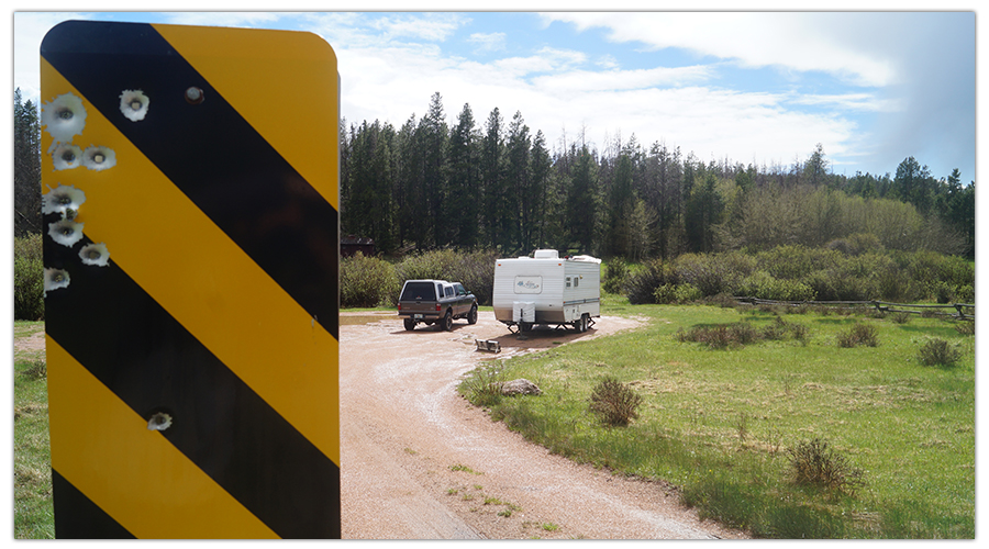 Free campsite in Medicine Bow National Forest