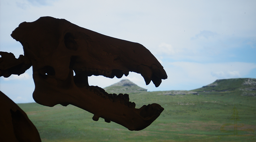 dinosaur head with agate fossil beds in background