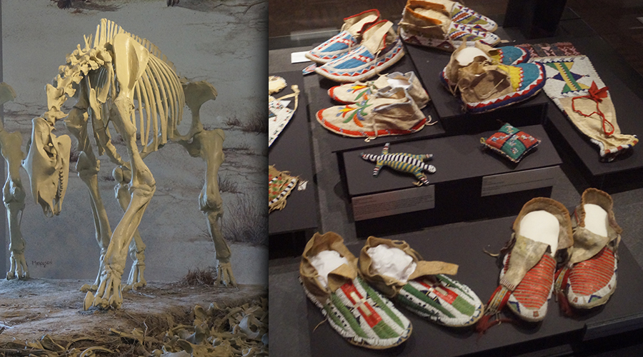 animal replicas and oglala artifacts on display at agate fossil beds