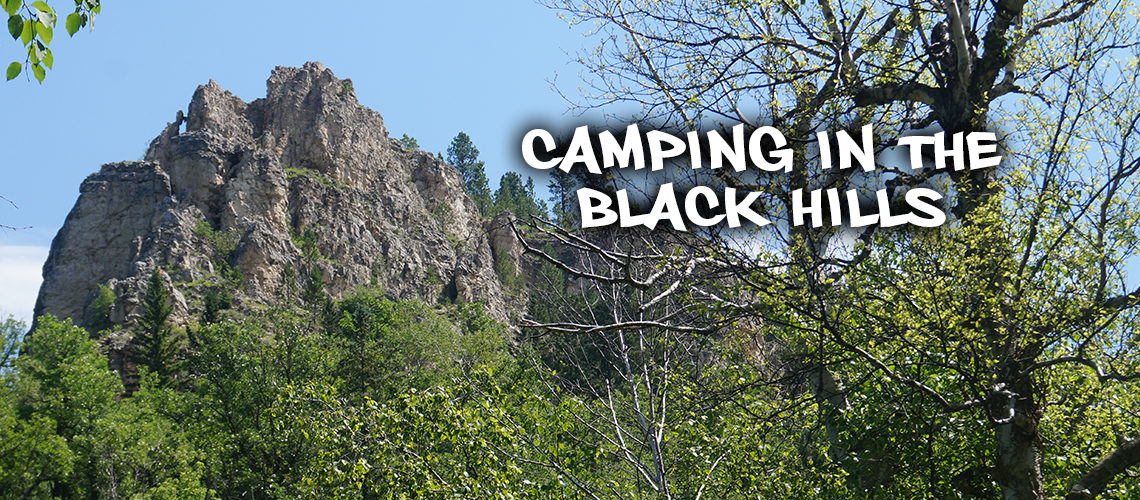 camping in the black hills scenery