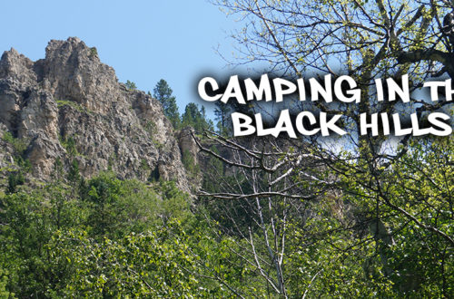 camping in the black hills scenery