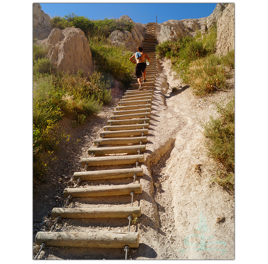 wooden ladder against wall of the badlands formation