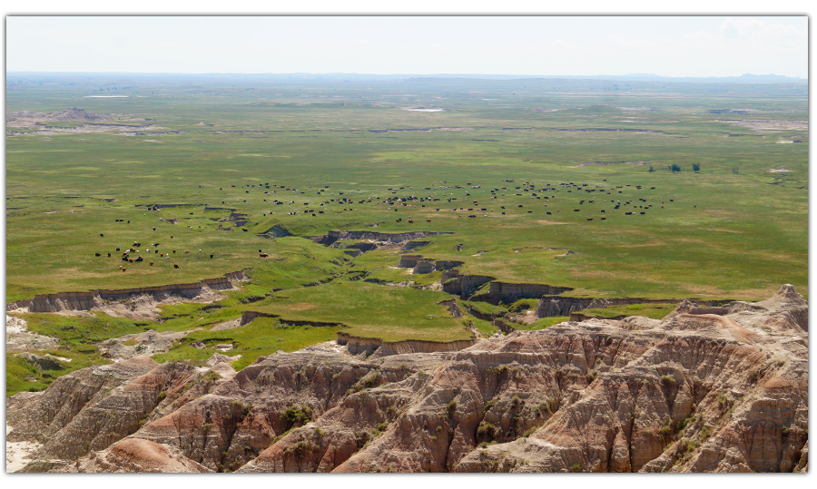 view from overlook while free camping near badlands national park